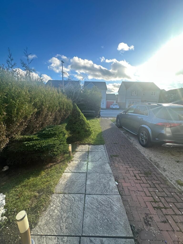 WhatsApp Image 2025-11-13 at 22.03.38 (1)